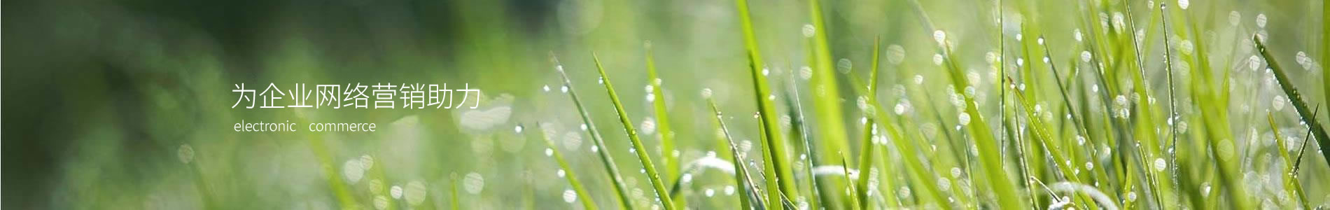 ˶еƼ޹˾